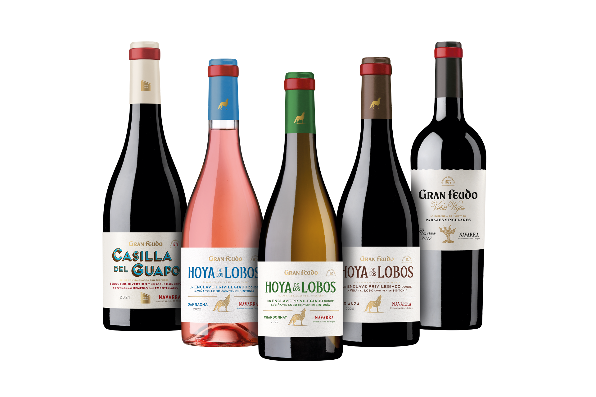 Gran-Feudo-Roble-navarra